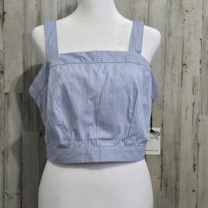 Japna Blue and White Pinstriped Smocked Lined Crop Top Square Neck Size Large